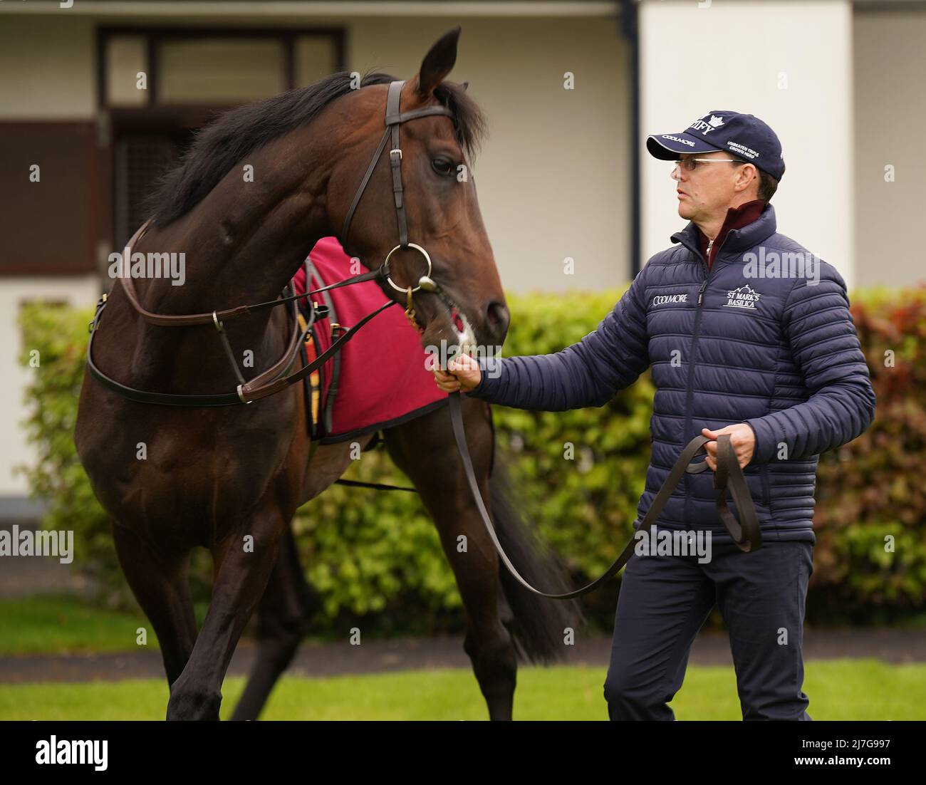 Trainer Aidan O'Brien and Stone Age at Ballydoyle racehorse training