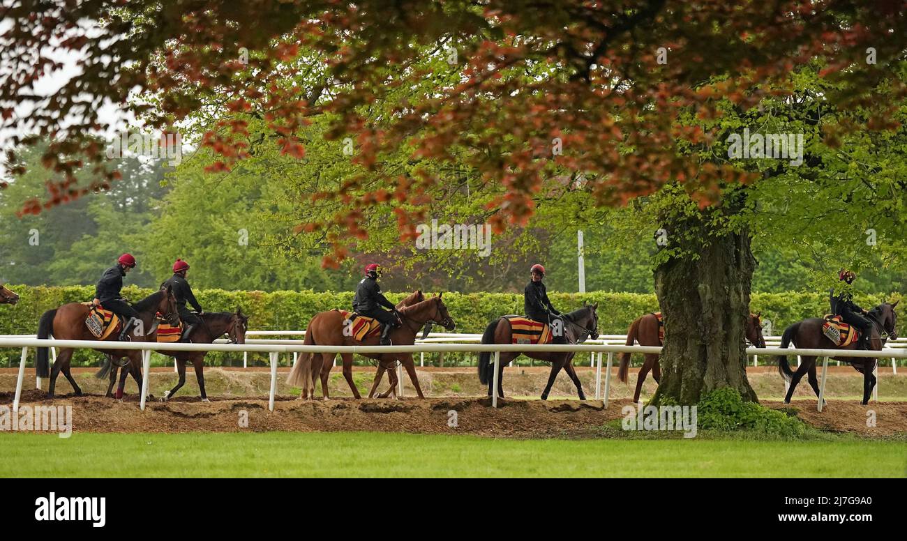 Aidan O'Brien trained horses are exercised at Ballydoyle racehorse ...
