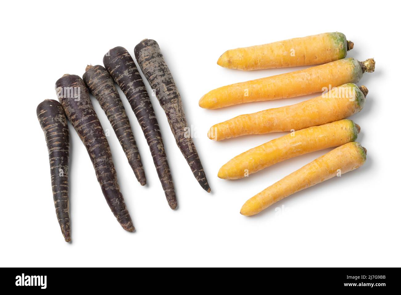 Fresh raw yellow and black carrots isolated on white background close up Stock Photo