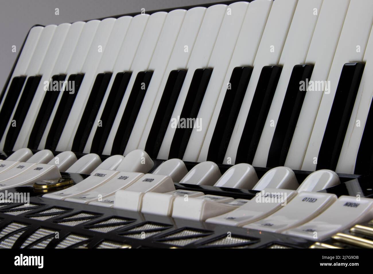 Detail view, Fragments of musical instrument accordion. Close-up Stock Photo