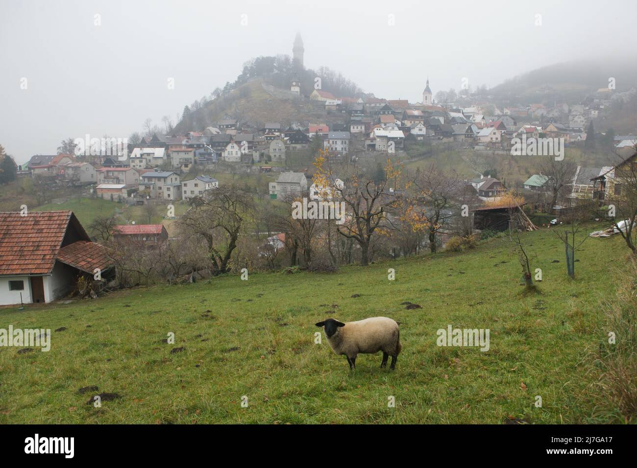 Sheep pastures in the picturesque town of Štramberk in the Moravian-Silesian Region of the Czech Republic. Stock Photo
