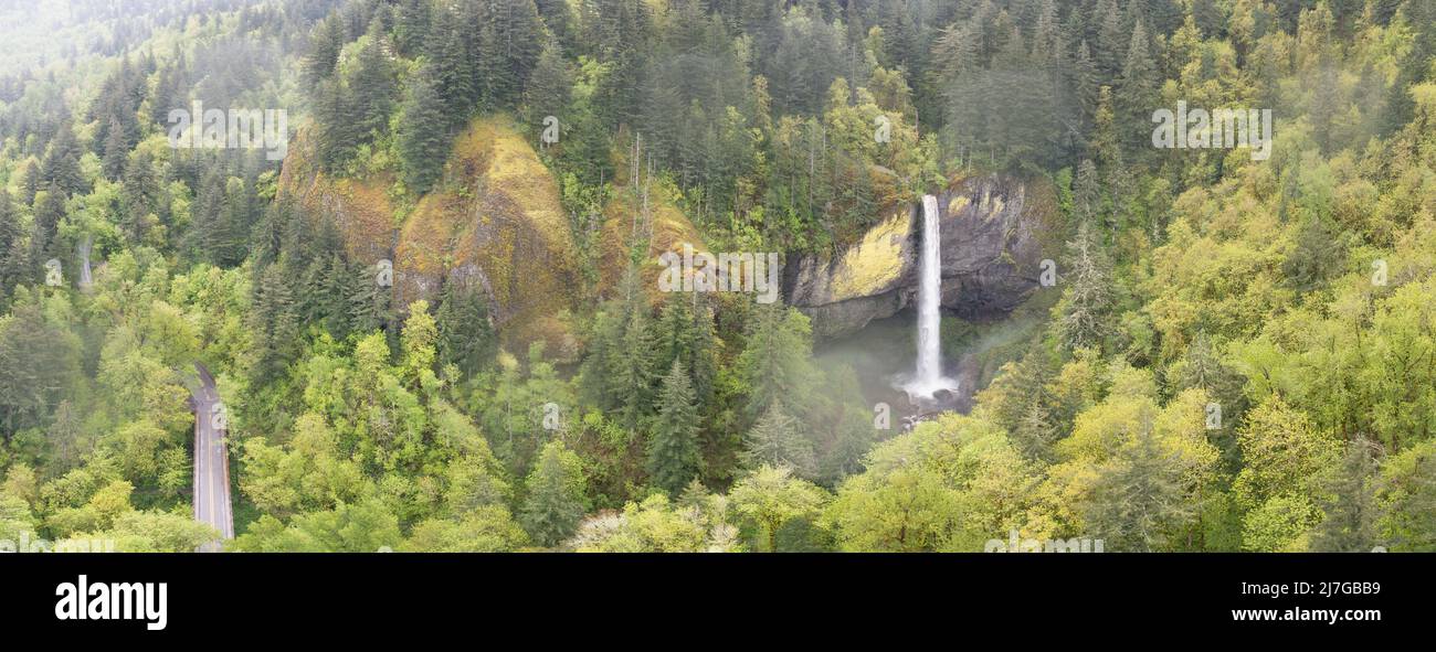 Surrounded by beautiful forest, a huge waterfall drops almost 250 feet and eventually flows into the Columbia River in Oregon. Stock Photo