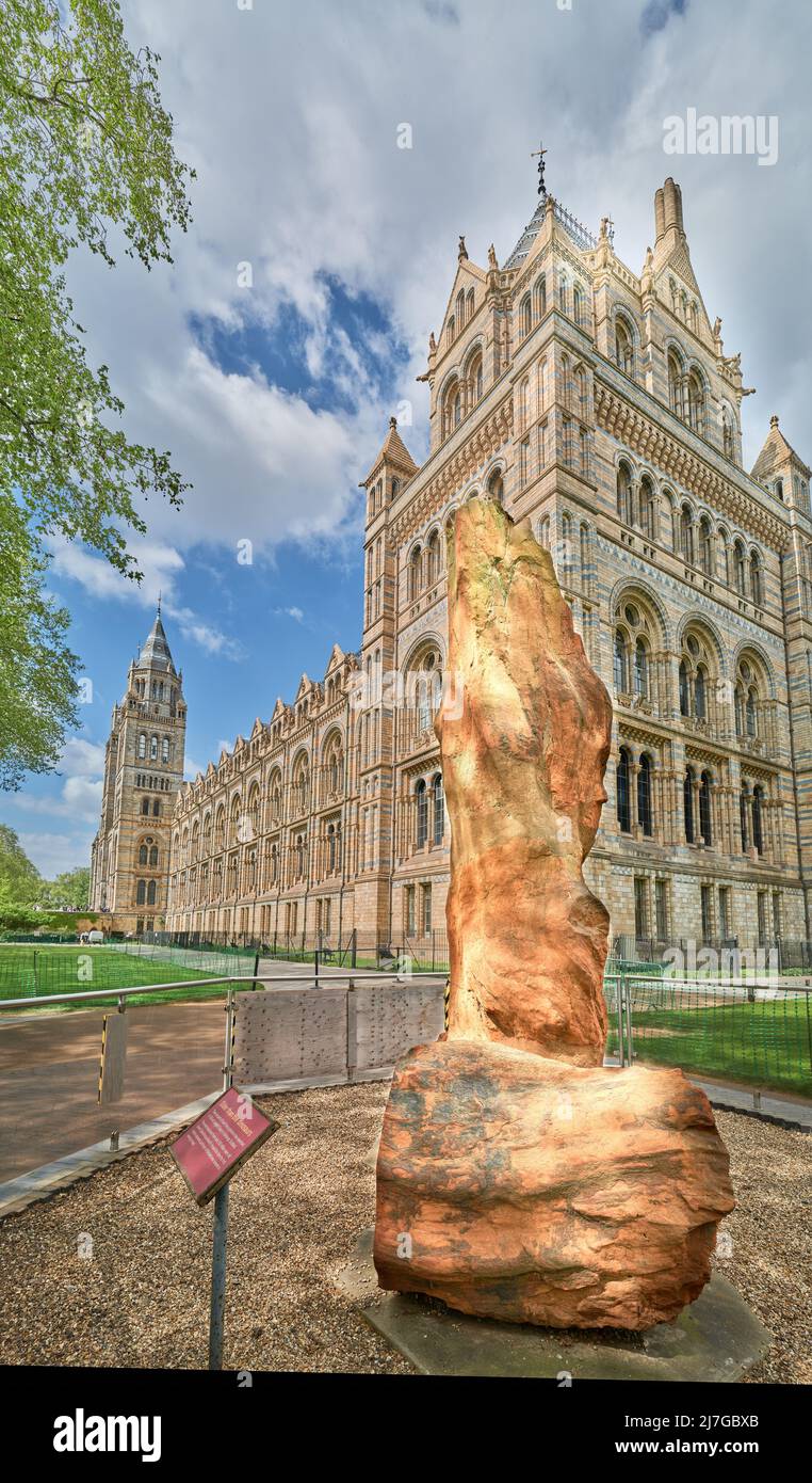 Tree trunk more than 300 million years old outside the Natural History museum, London, England. Stock Photo