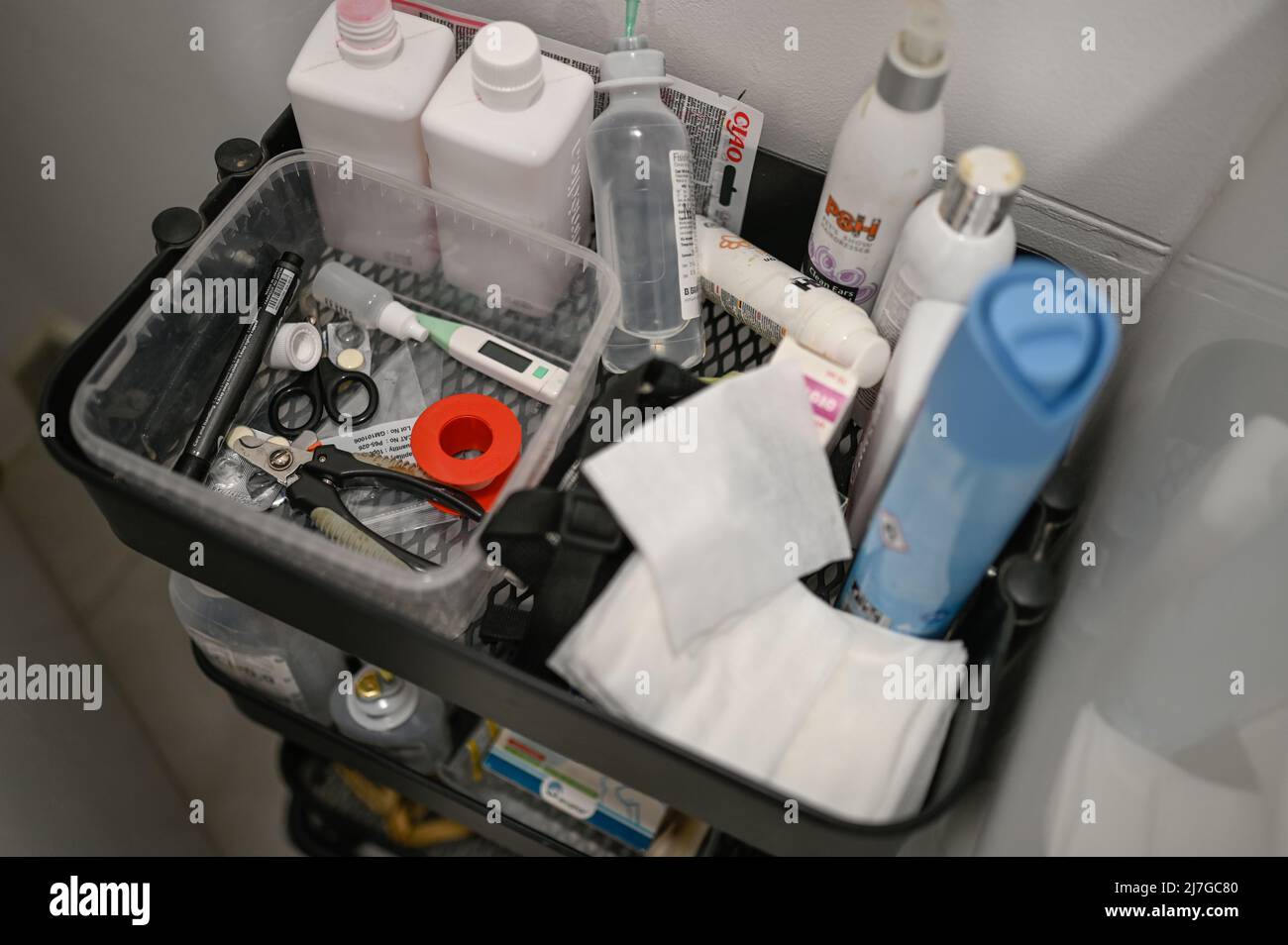 Veterinary tools and equipment Stock Photo Alamy