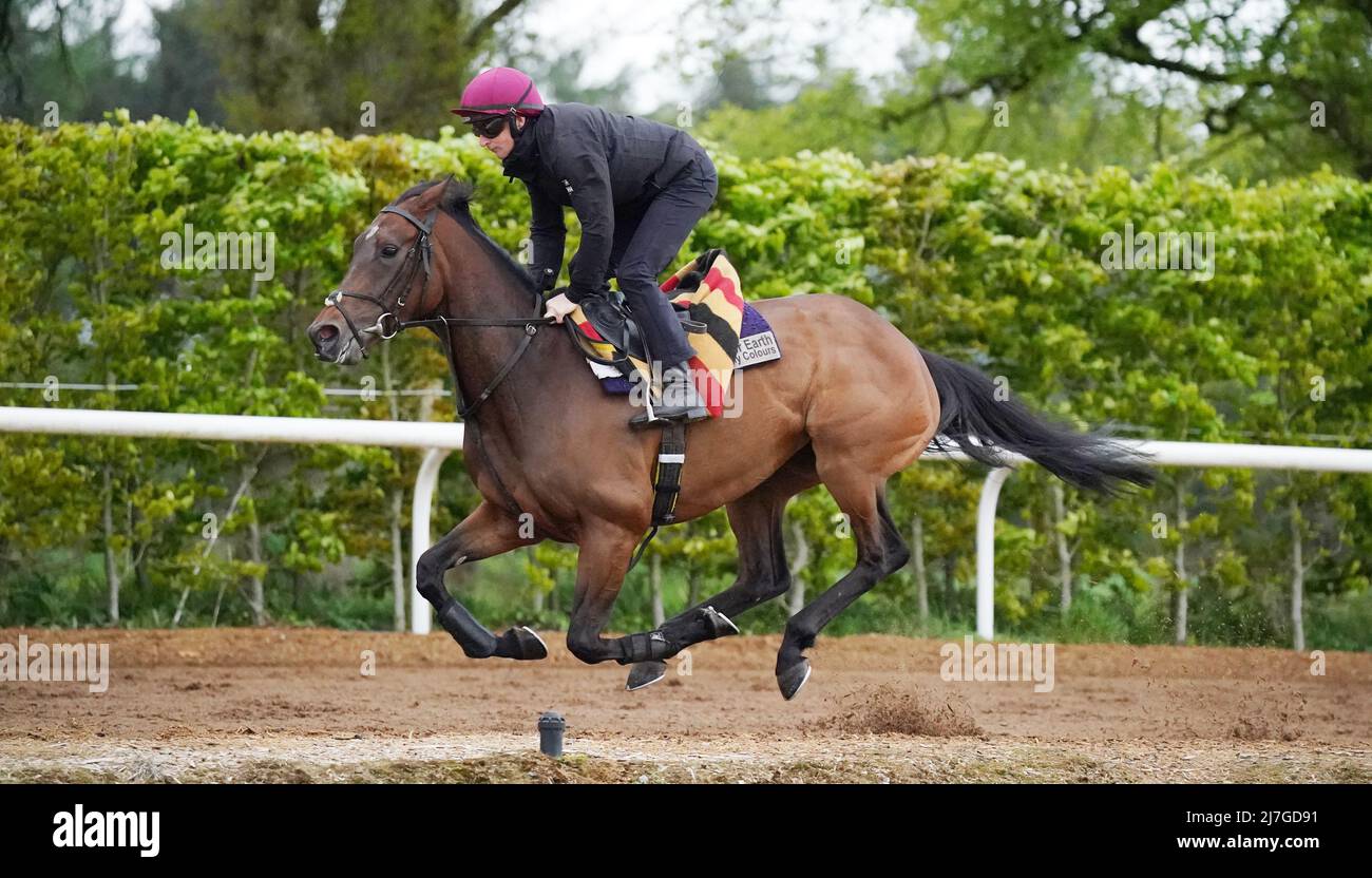 Mother Earth at Ballydoyle racehorse training facility in County Tipperary, Ireland. Picture date: Monday May 9, 2022. Stock Photo