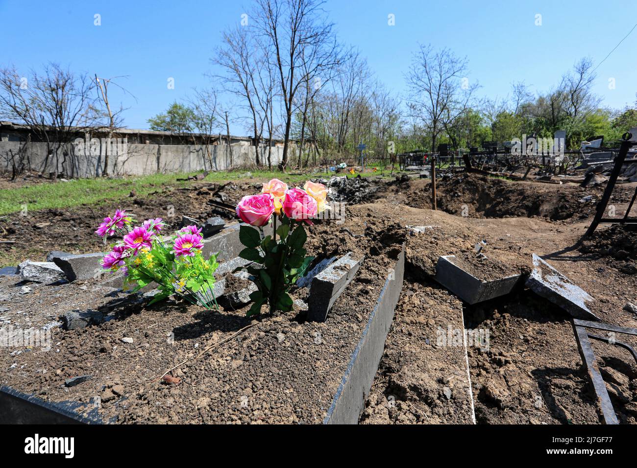 Flowers against the background of destroyed graves during the Russia-Ukraine war. Russian shelling of Odessa, rockets hit Novo-Gorodskoe cemetery (or Tairovsky Cemetery). Destroyed more than 1000 square meters of the cemetery. Stock Photo