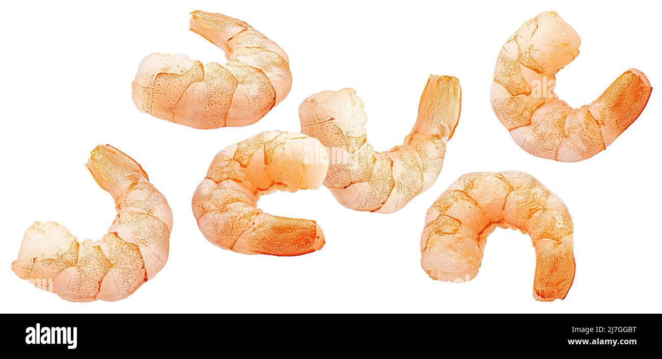 Falling shrimps isolated on white background Stock Photo