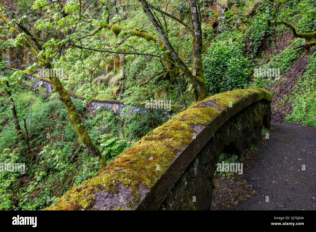 Damp slippery footpath hi-res stock photography and images - Alamy