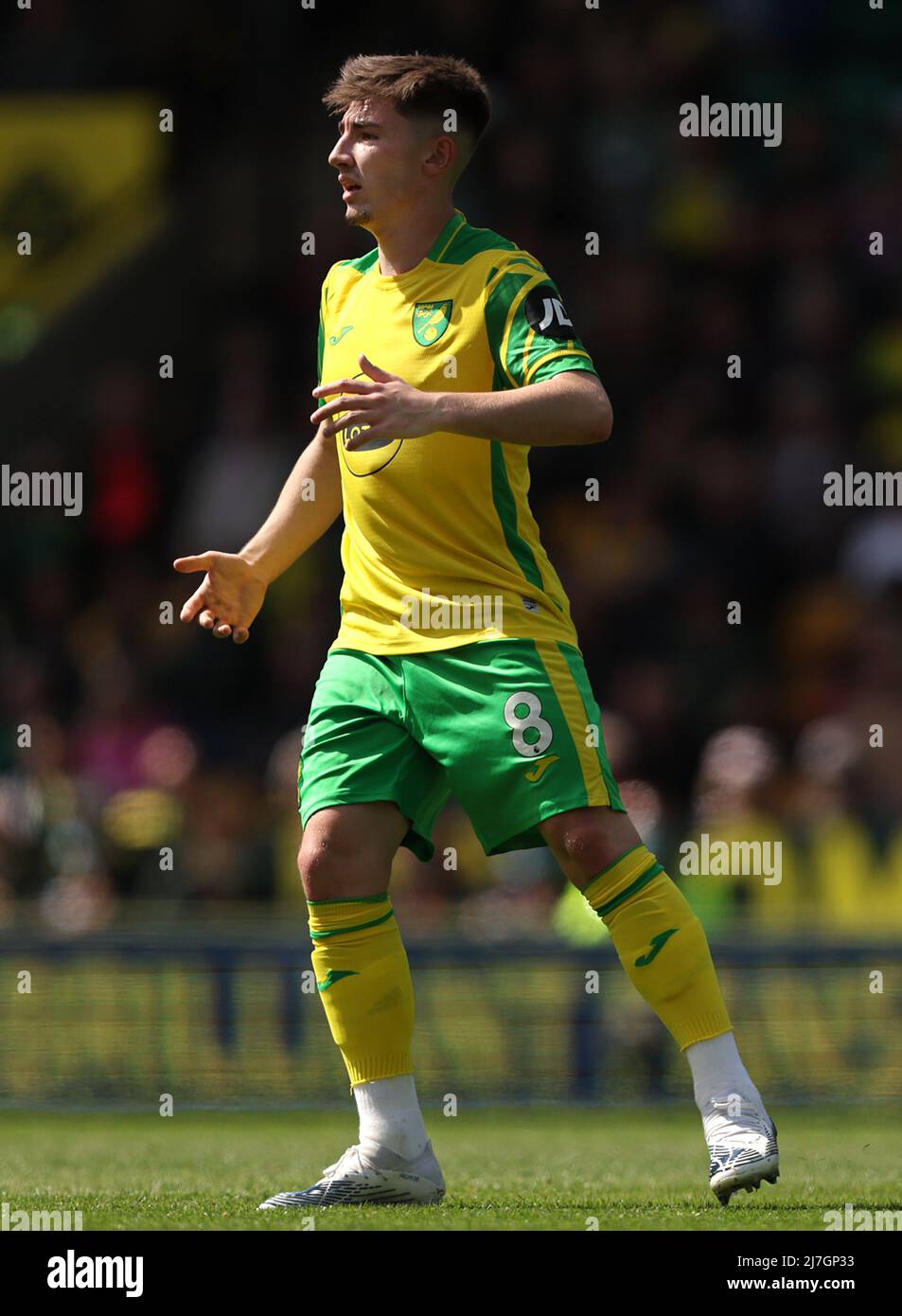 2022 billy gilmour hires stock photography and images Alamy