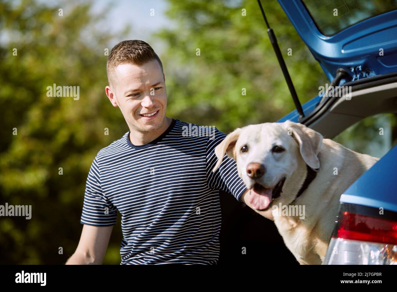 Man with dog traveling by car. Pet owner enjoying road trip with his labrador retriever. Stock Photo