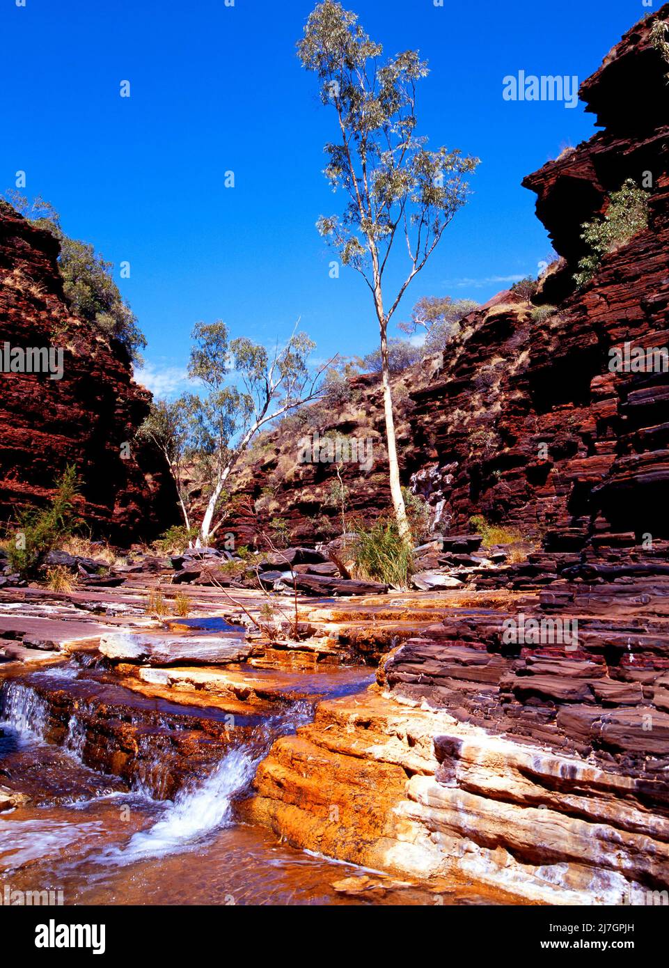 Kalamina Gorge,  Karijini National Park, Pilbara, Western Australia Stock Photo