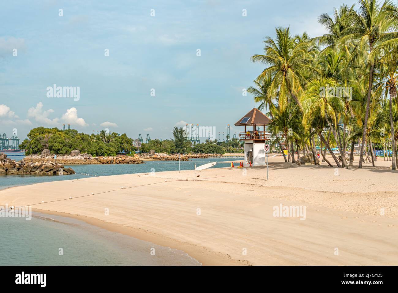 Palm trees at Siloso Beach on Sentosa Island, Singapore Stock Photo