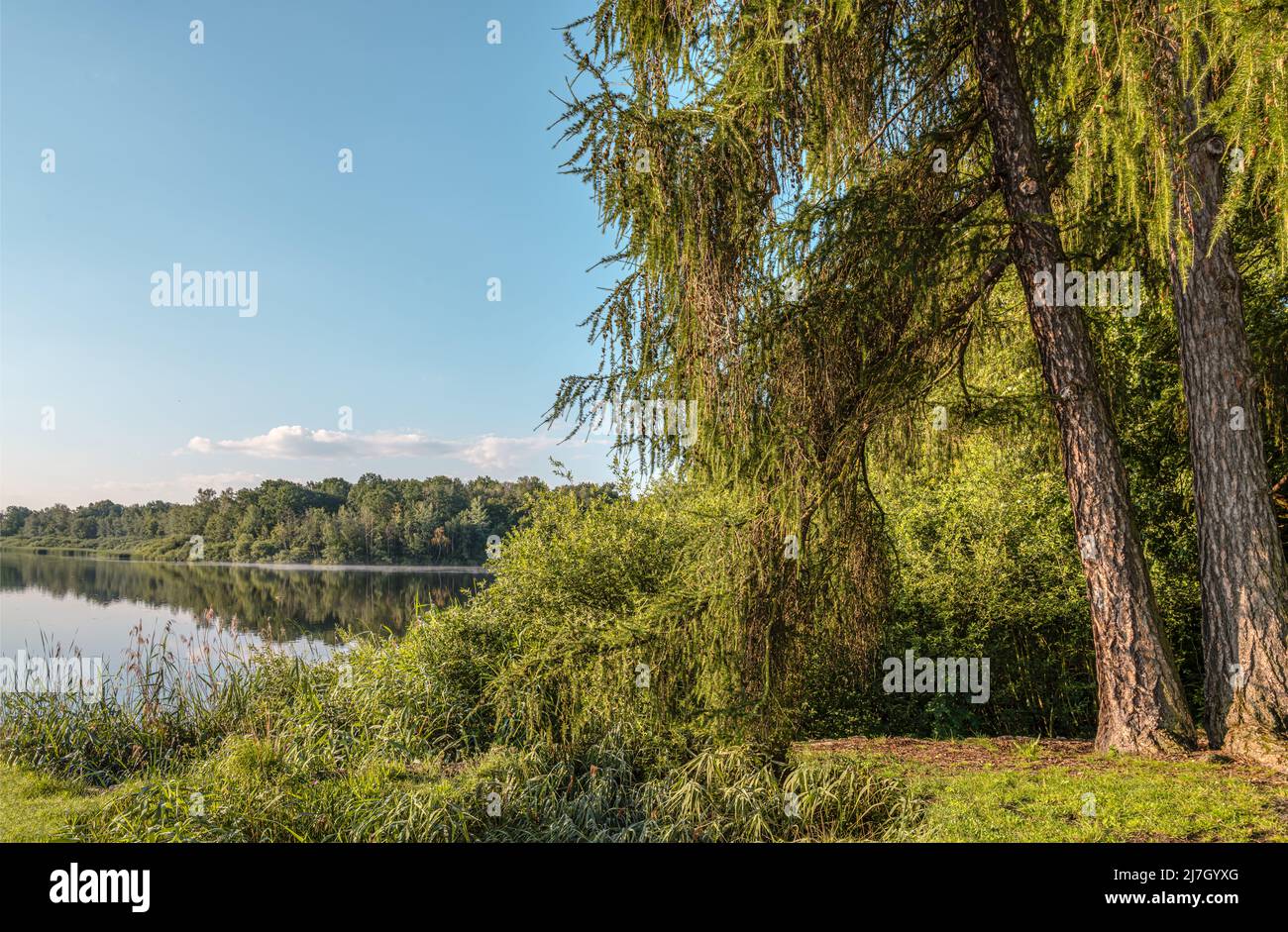 Moritzburg lake landscape in summer, Saxony, Germany Stock Photo