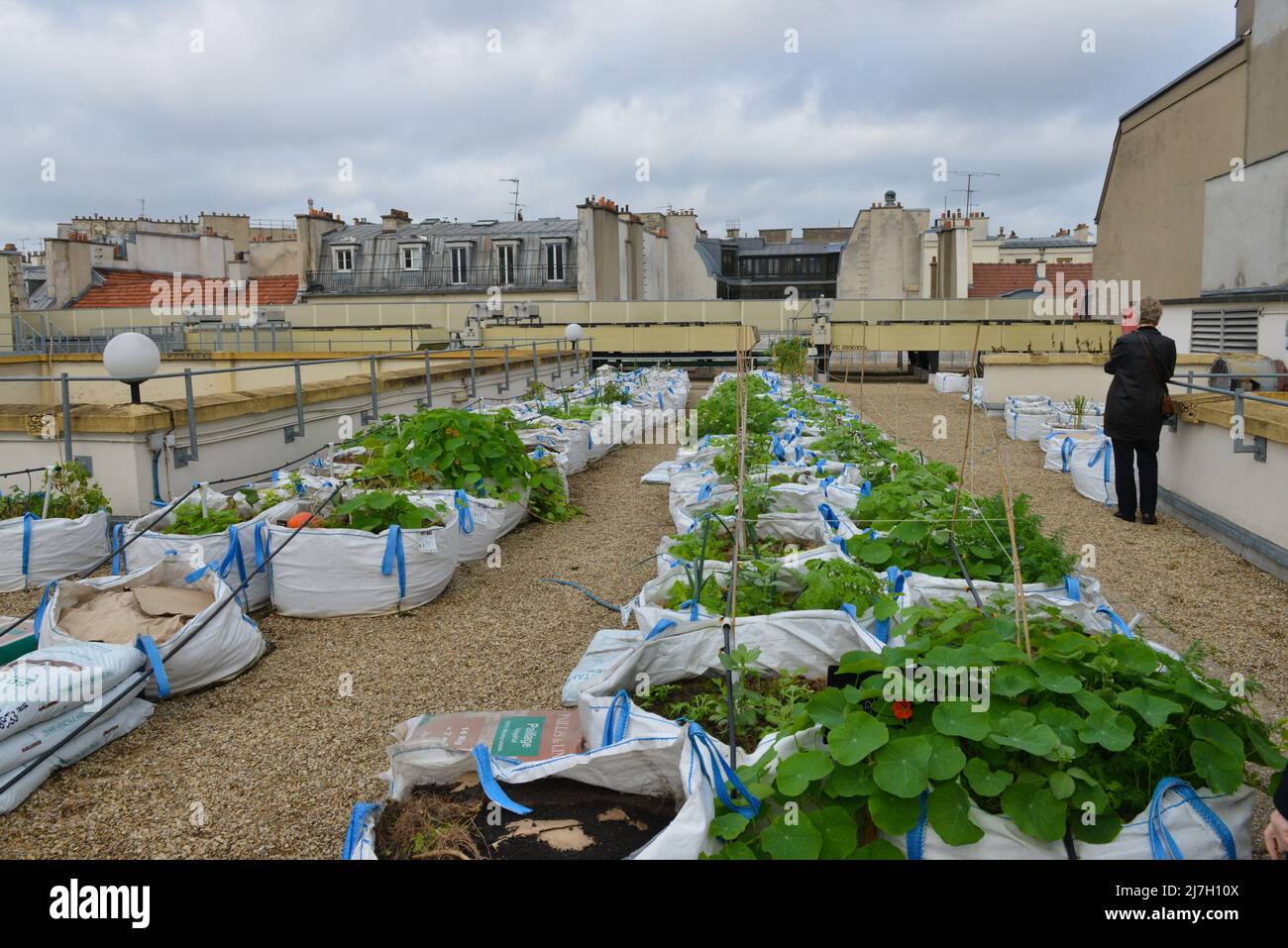 Rooftop garden in Paris Stock Photo Alamy