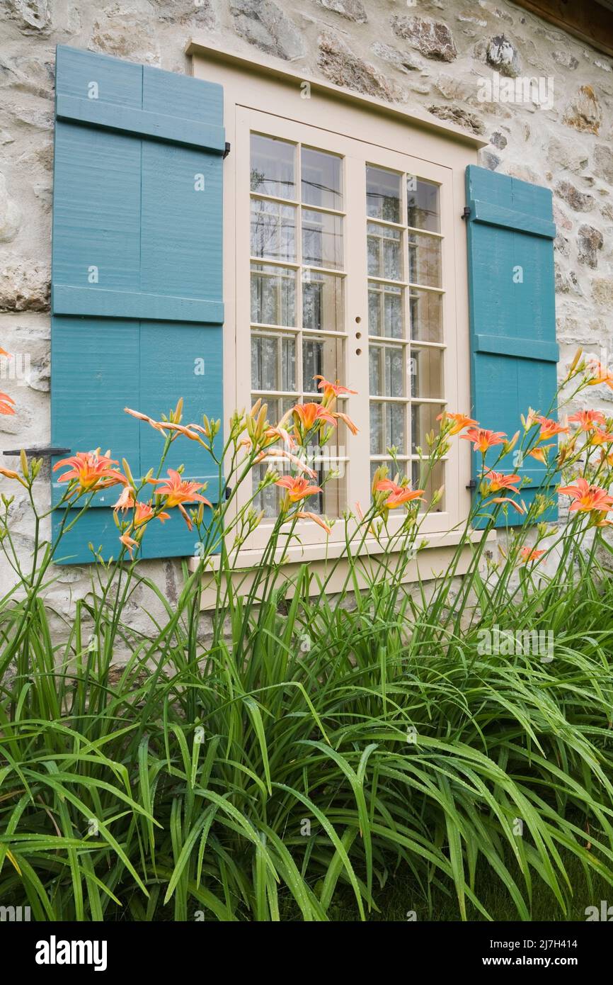 Tan wood window with teal blue shutters on old 1722 fieldstone home in summer. Stock Photo