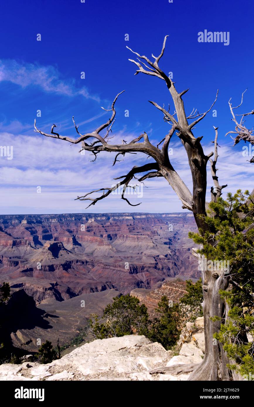 Grand Canyon - Rim Trail Stock Photo - Alamy