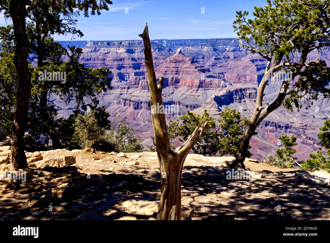 Grand Canyon - Rim Trail Stock Photo - Alamy