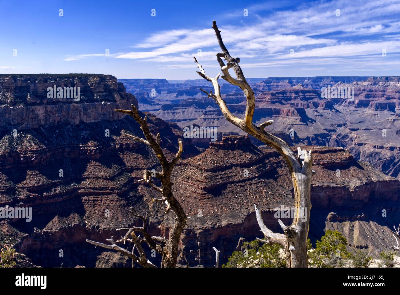 Grand Canyon - Rim Trail Stock Photo - Alamy