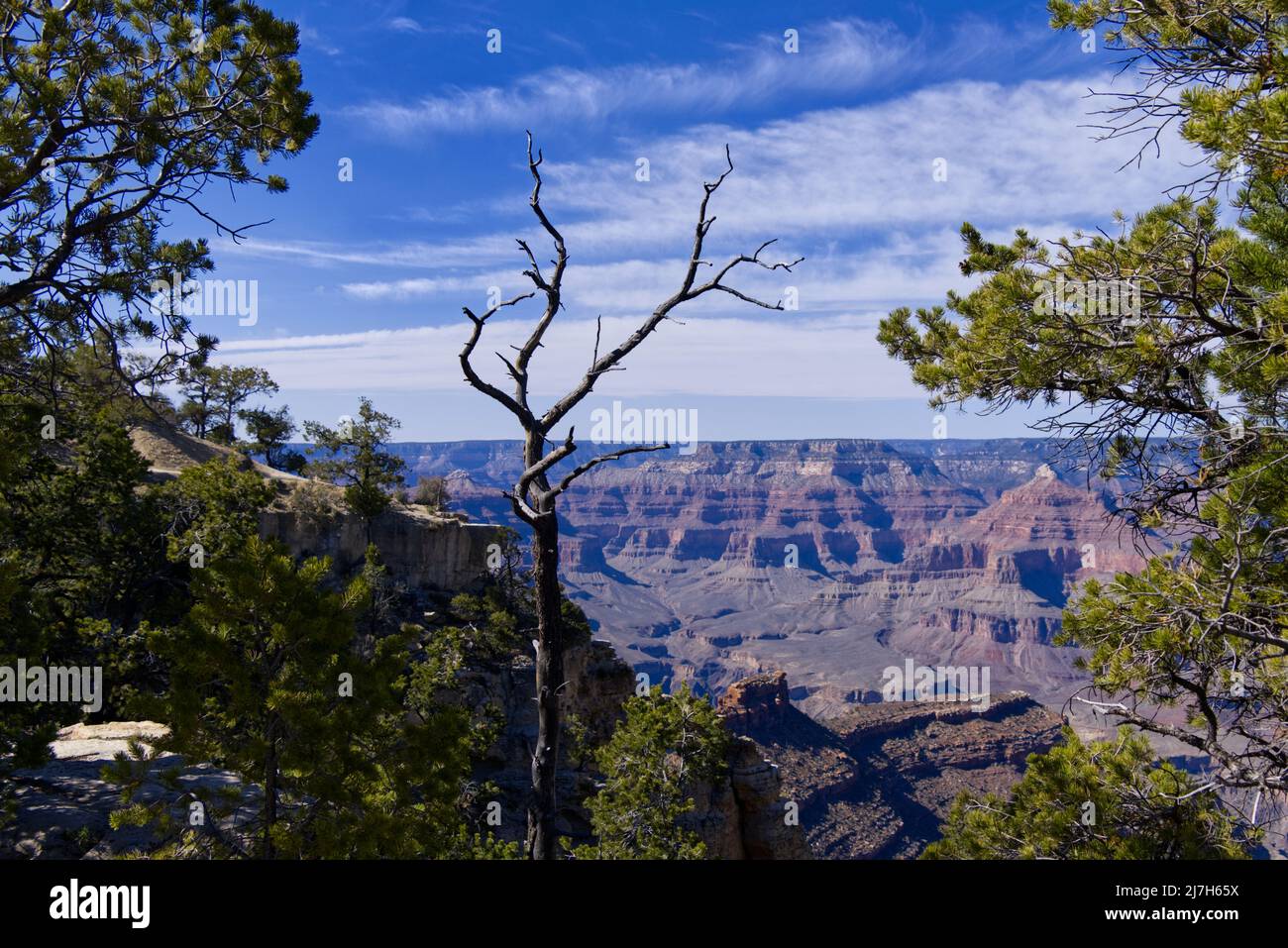 Grand Canyon - Rim Trail Stock Photo - Alamy