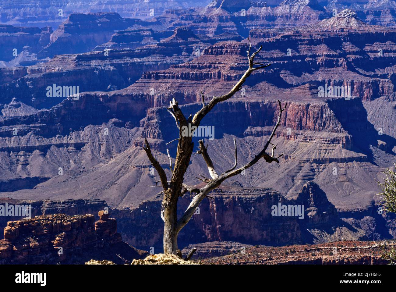 Grand Canyon - Rim Trail Stock Photo - Alamy