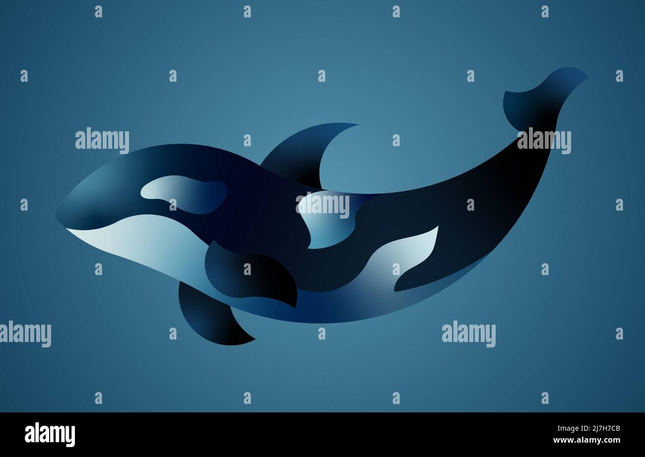 Beautiful killer whale on blue background Stock Vector