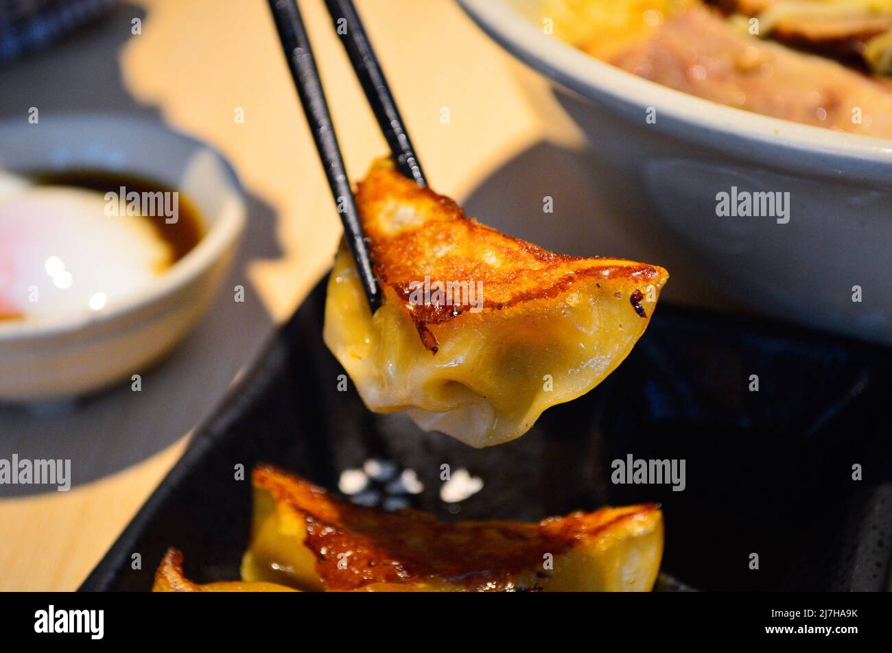 Chopsticks pick up Japanese style fried gyoza (dumplings) from a black plate. Stock Photo