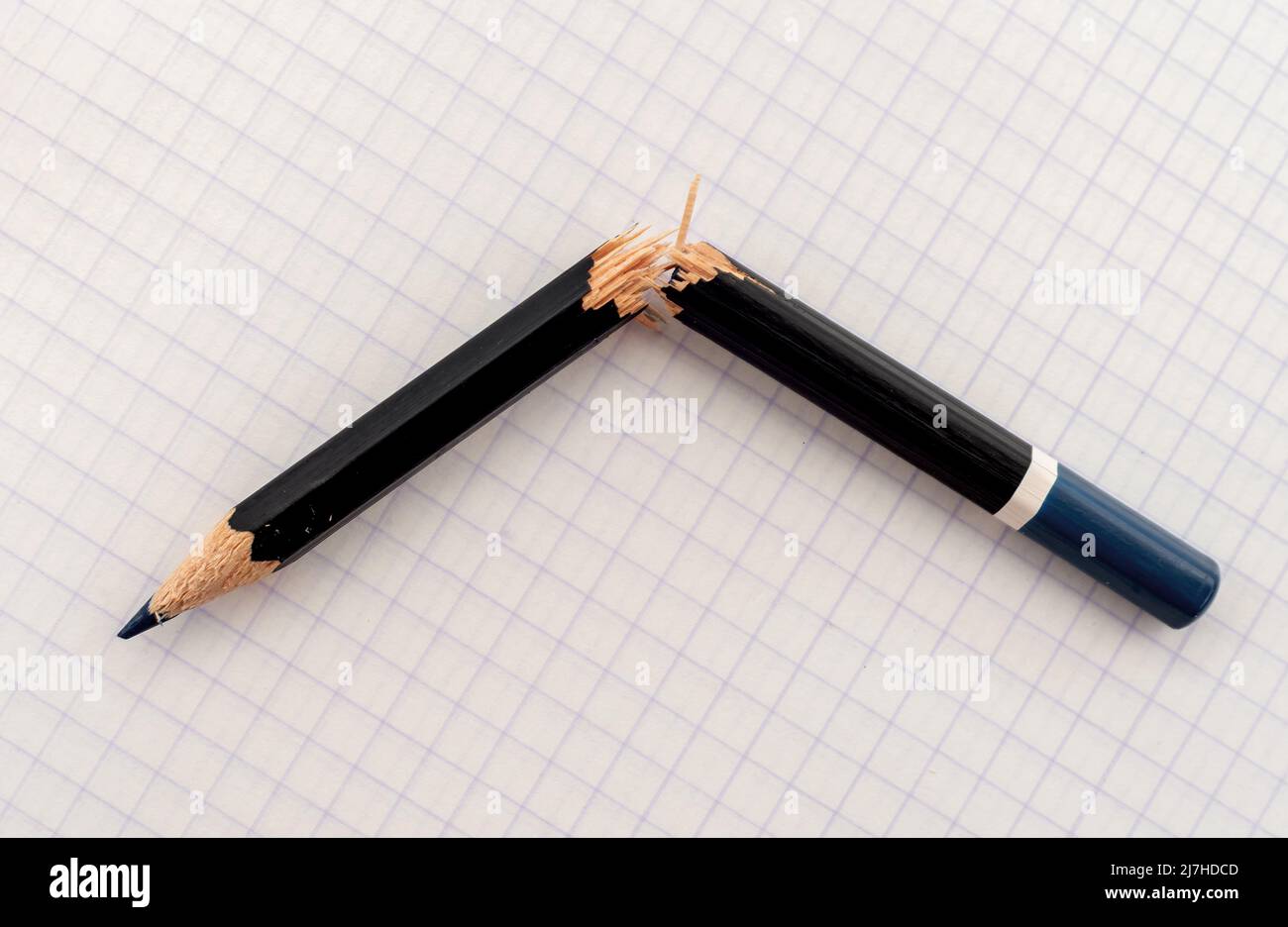 Broken pencil on white checkered paper closeup. cracked pencil Stock