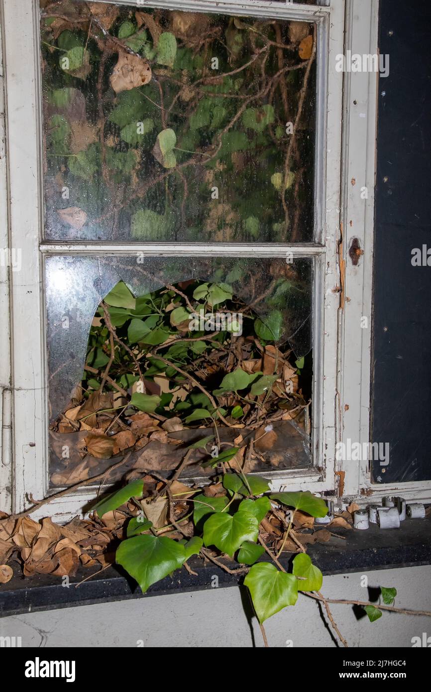 Dark flashlit view of an old broken house window with remaining glass ...