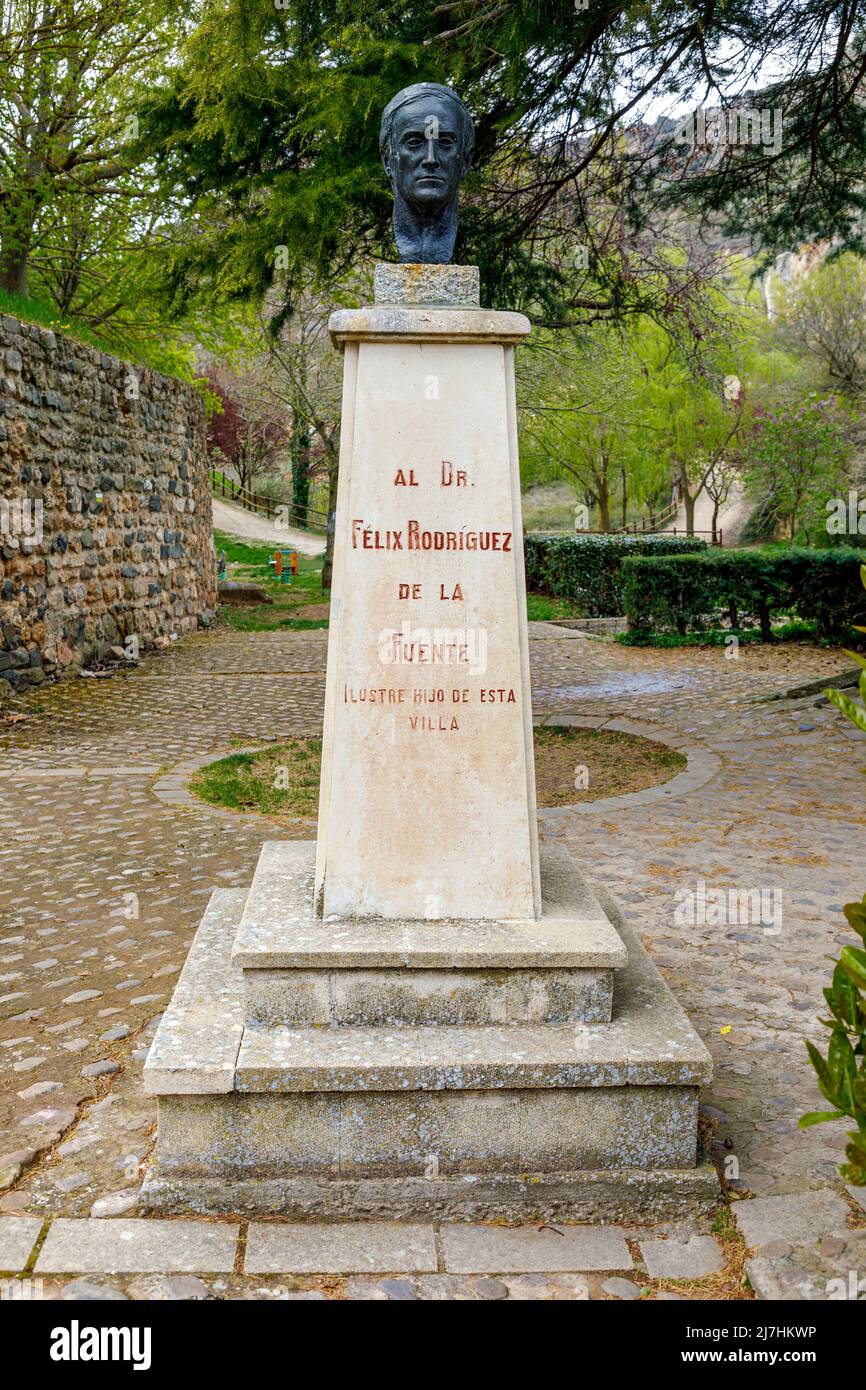 Poza de la Sal, Spain - May 9, 2022: Bust of the Spanish Naturist Doctor Felix Rodriguez de la Fuente in Poza de La Sal, Burgos, Spain Stock Photo