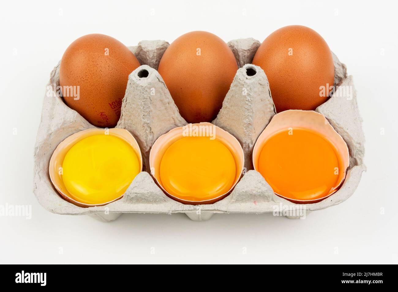 Yolk different colours of chicken egg, yellow and orange, dark and