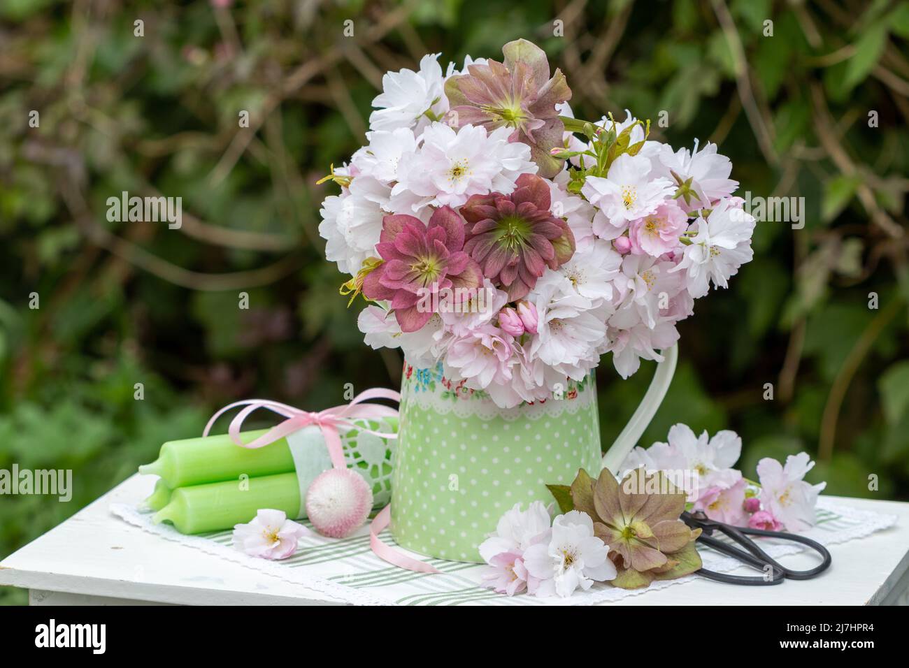bouquet of crab apple flowers, bellis perennis and helleborus orientalis in vase Stock Photo Alamy