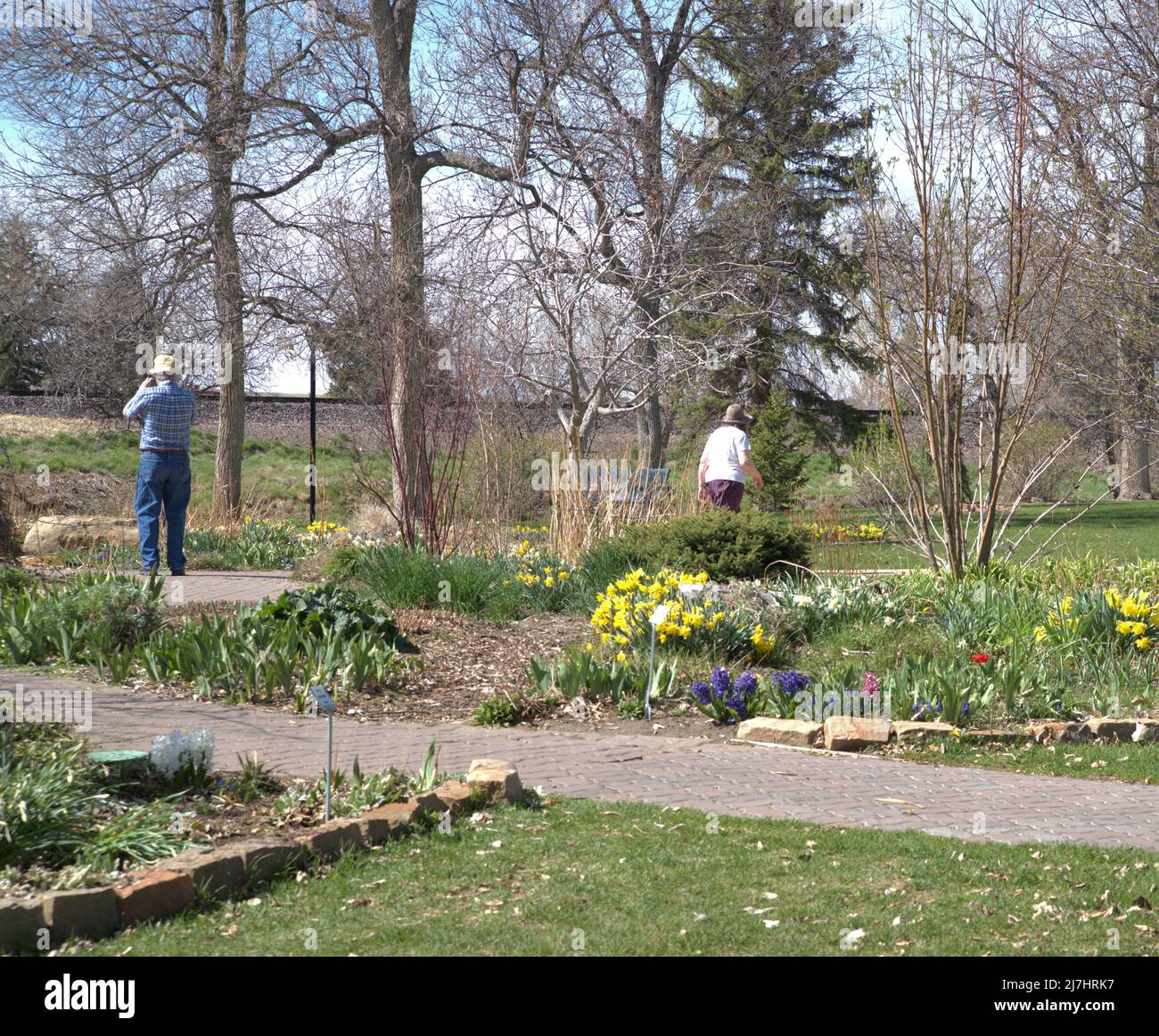 A public park with visitors enjoying the spring flowers. Stock Photo