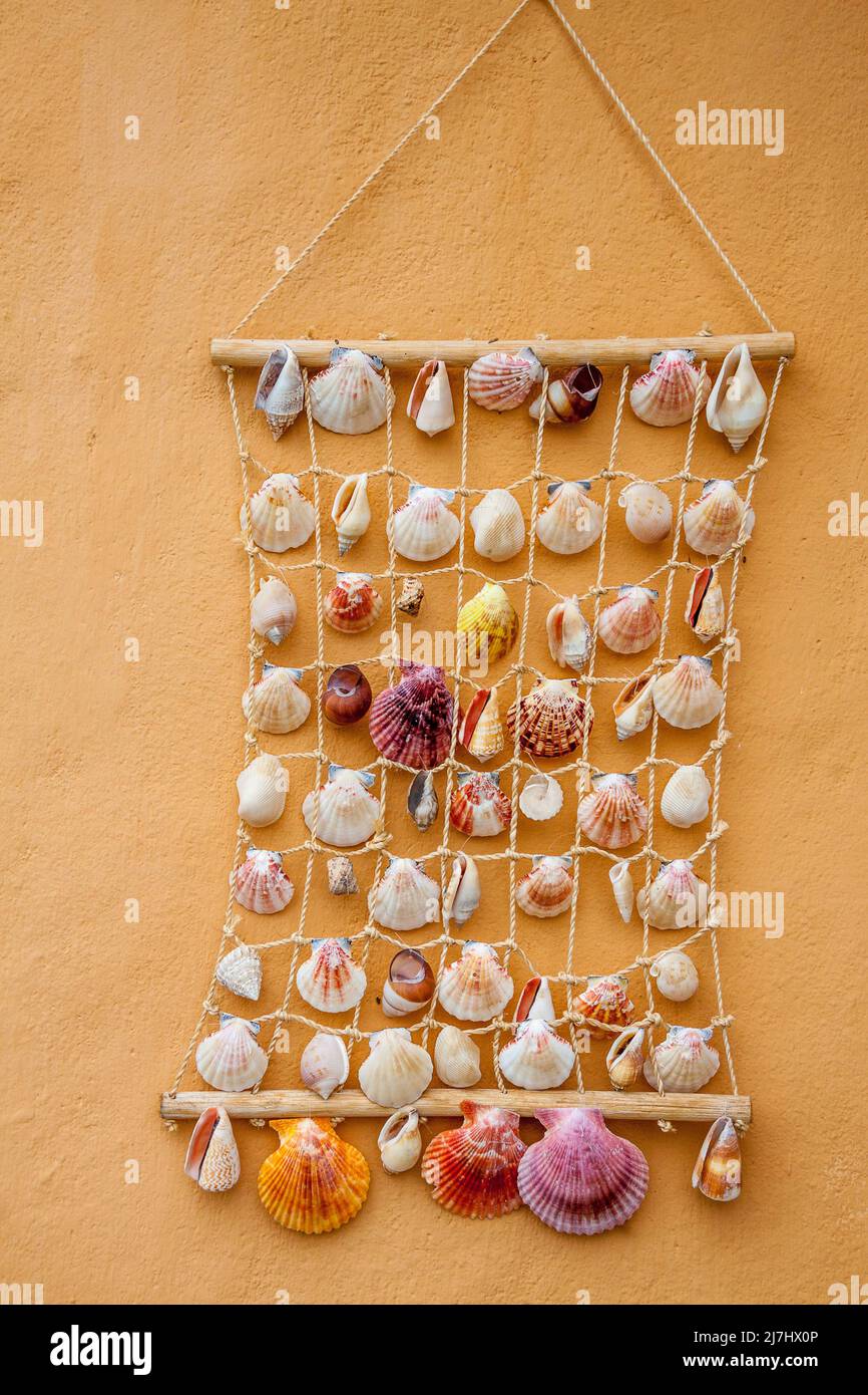 Decorative colorful handmade wall hanging display of seashells on