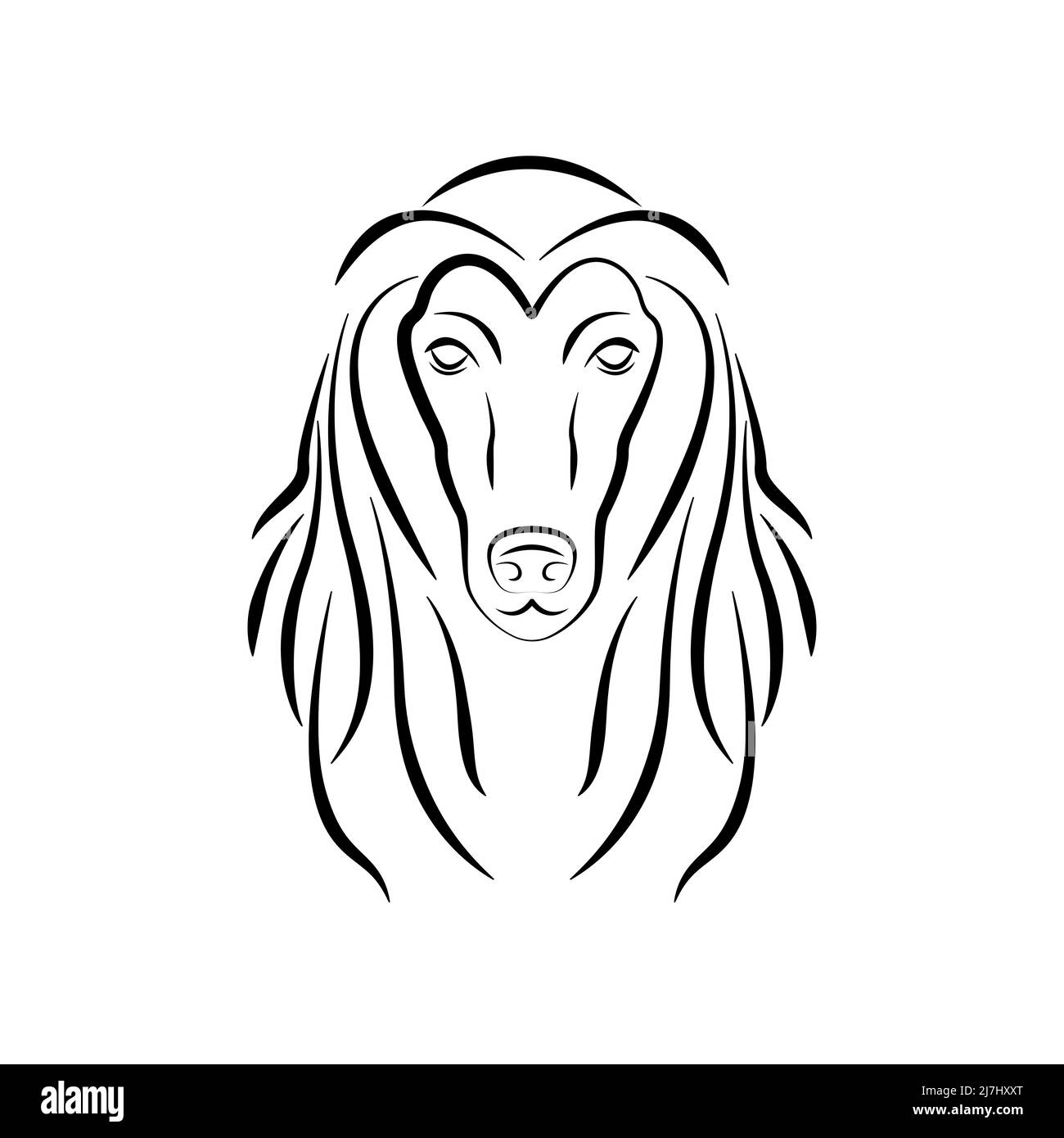 Afghan hound. Logo with beautiful hound dog. Stock Vector