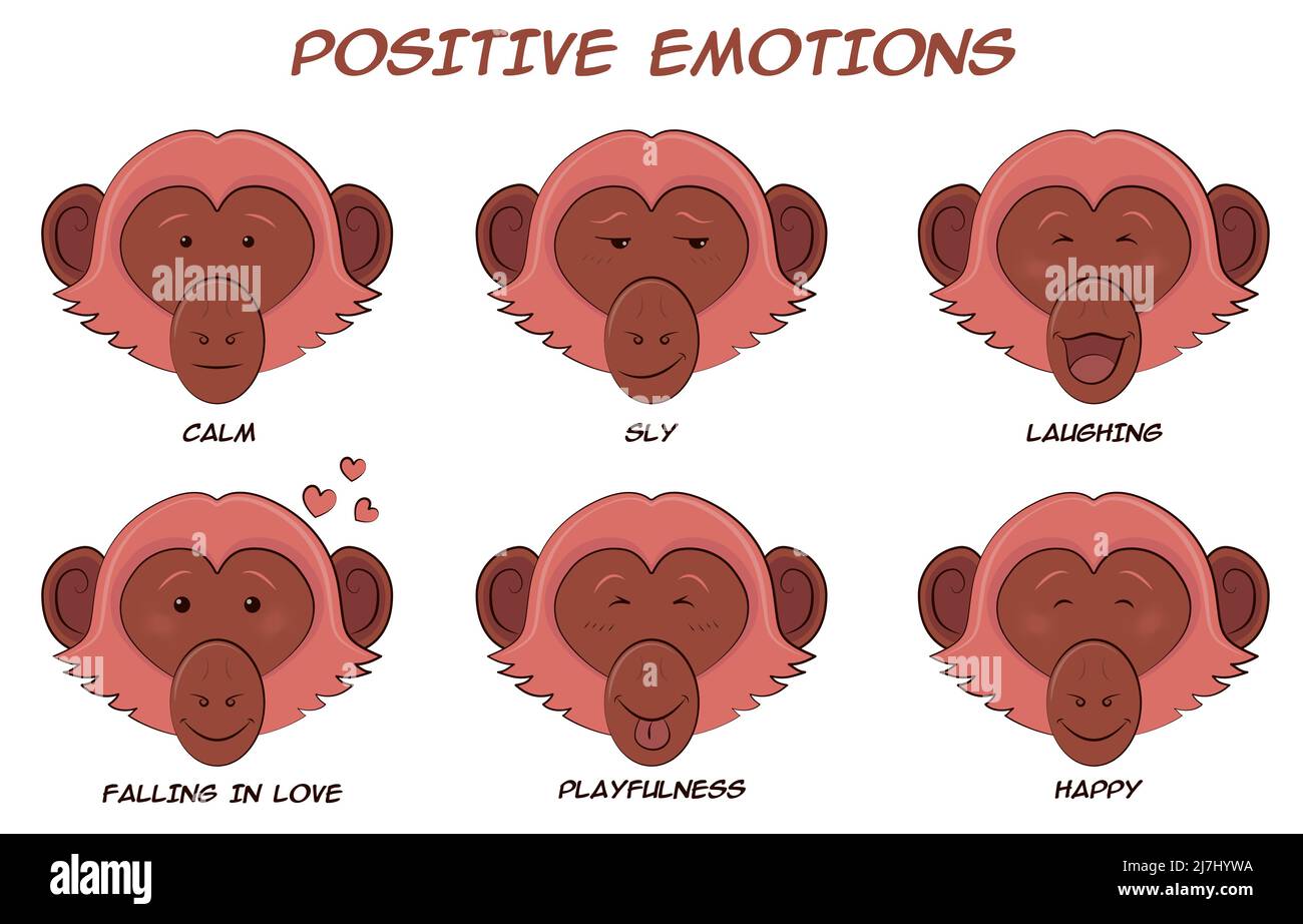 Set of cartoon monkeys with positive emotions Stock Vector