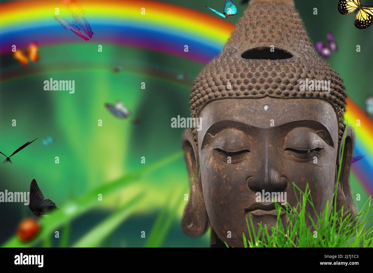 Close up of Buddha in meditation in a zen garden Stock Photo