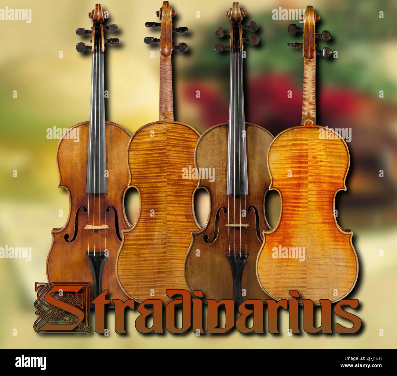 Some violins created by the famous Italian craftsman Antonio Stradivari