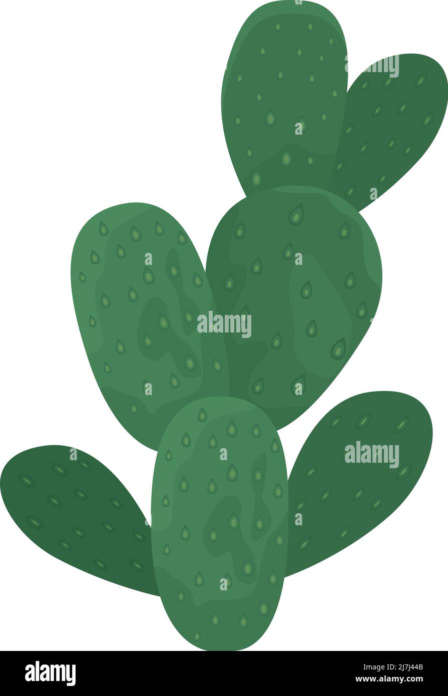 green cactus desert plant Stock Vector Image & Art - Alamy