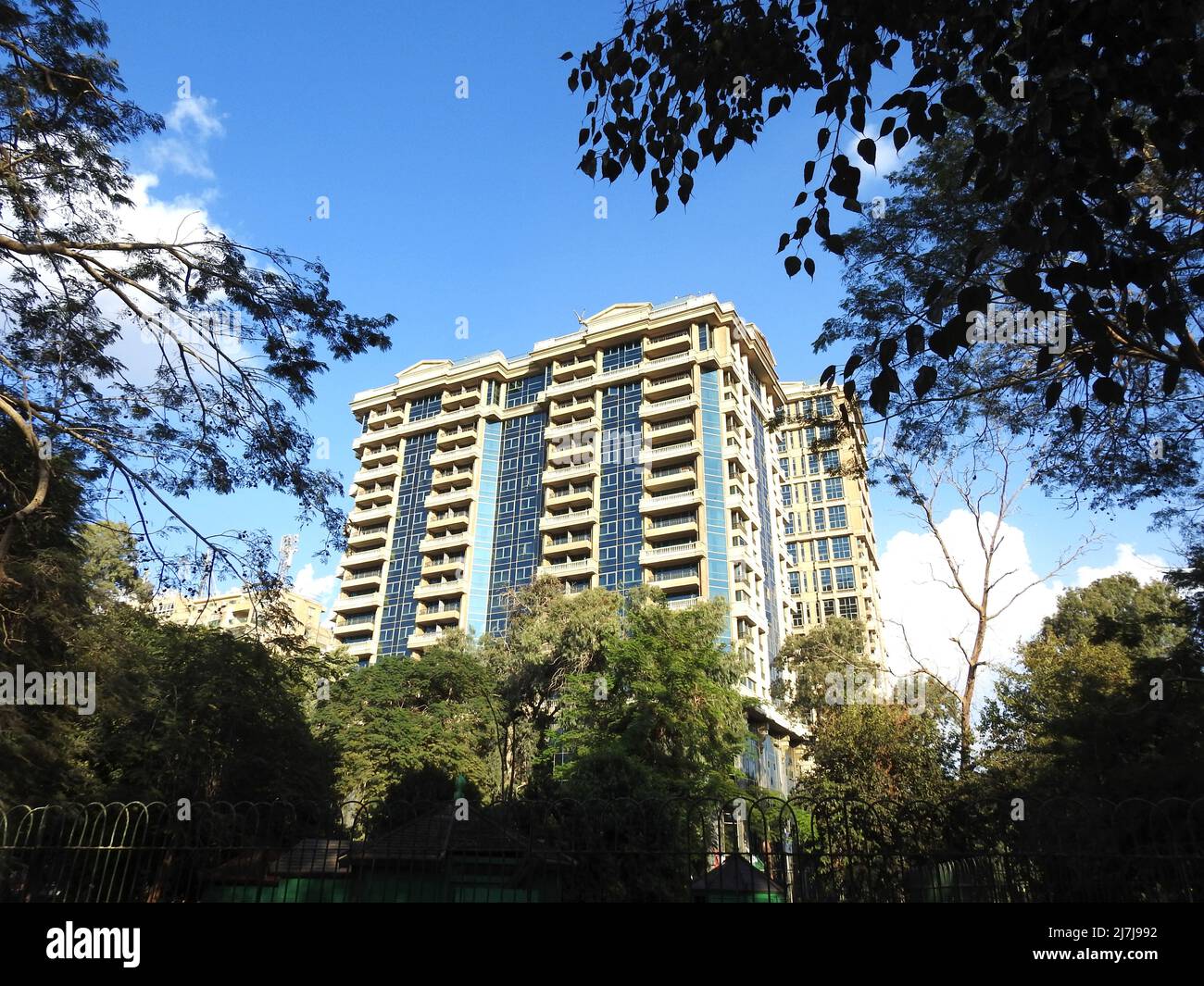 A very high modern building in Egypt surrounded with trees and green