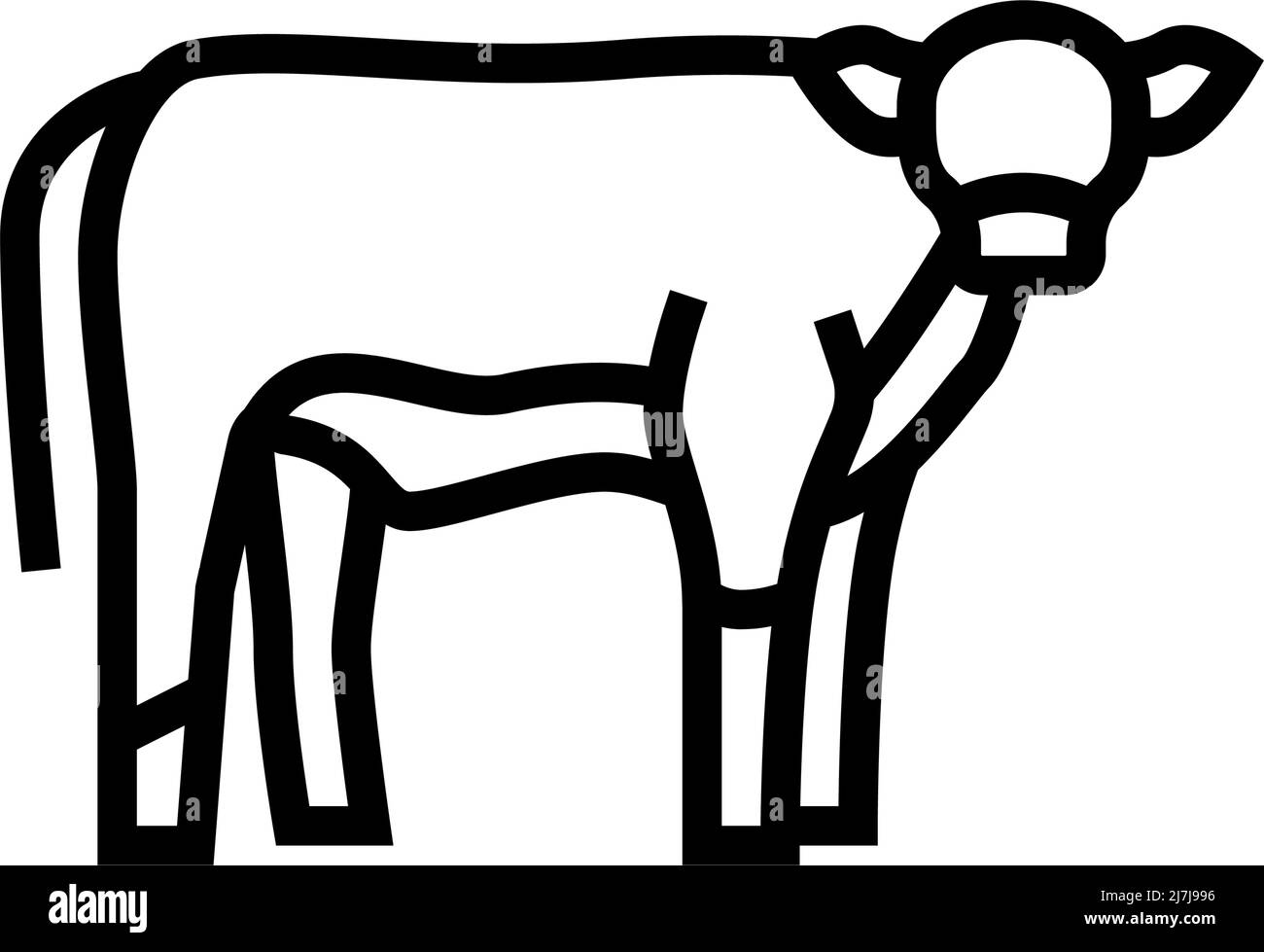 calf domestic animal line icon vector illustration Stock Vector Image ...