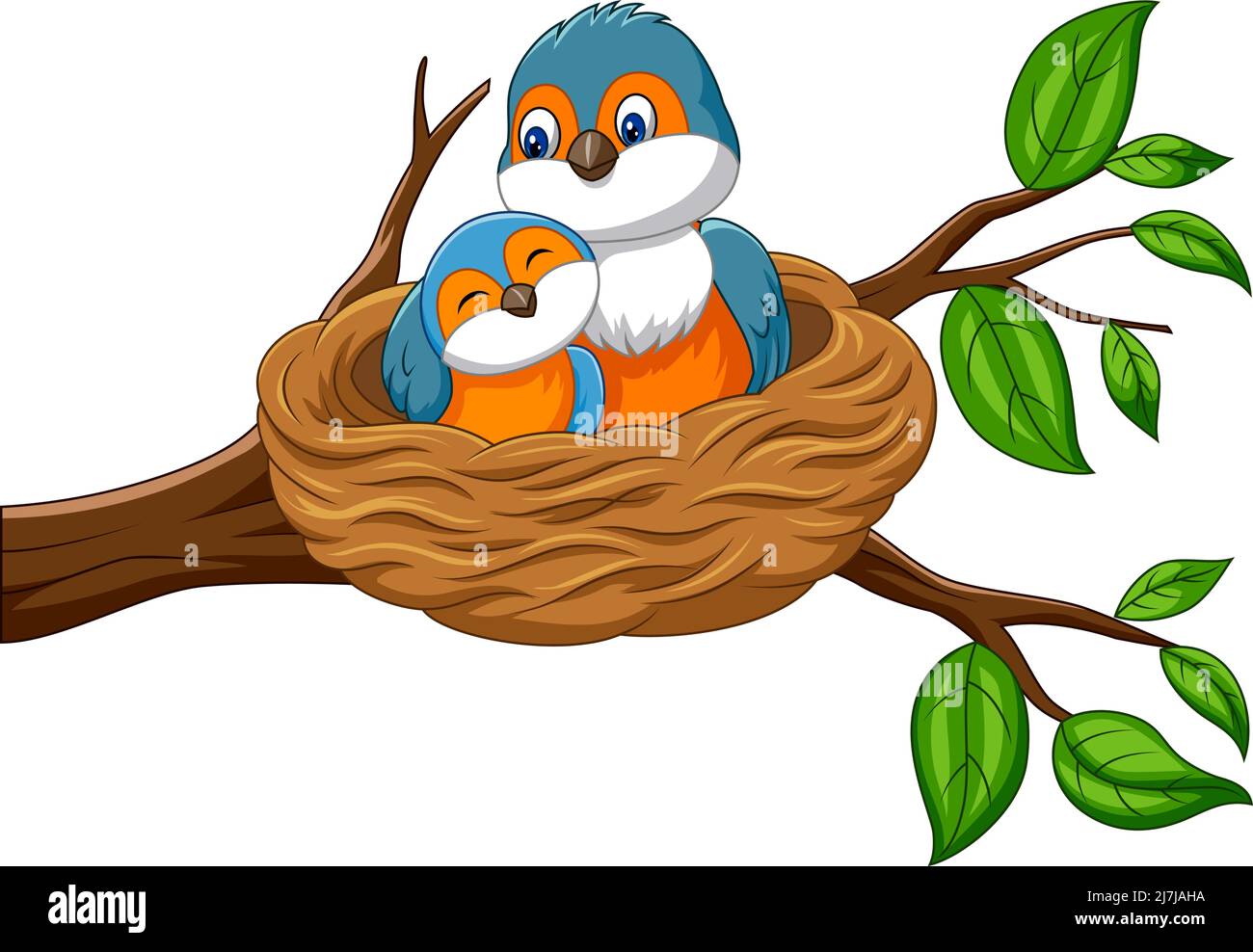 Cartoon mother bird with her baby in the nest Stock Vector Image & Art ...