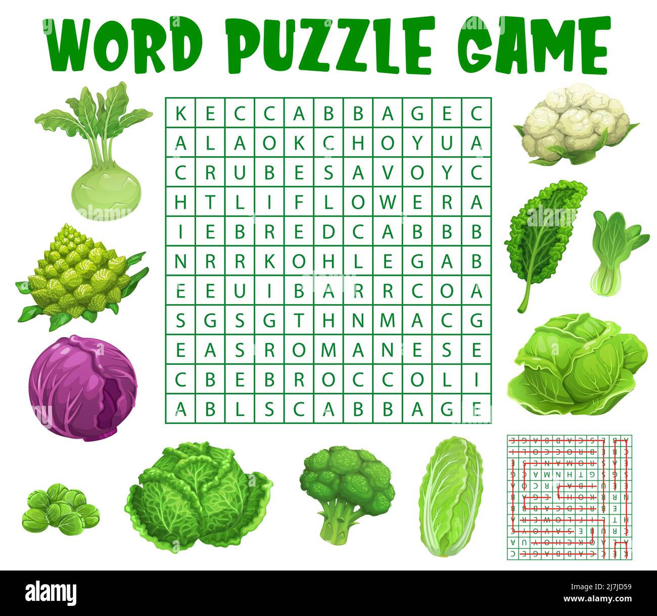 Raw cabbage vegetables, word search puzzle game worksheet, vector kids quiz grid. Riddle to search word in grid with cabbages broccoli, cauliflower and kohlrabi, bok choy and Chinese cabbage Stock Vector