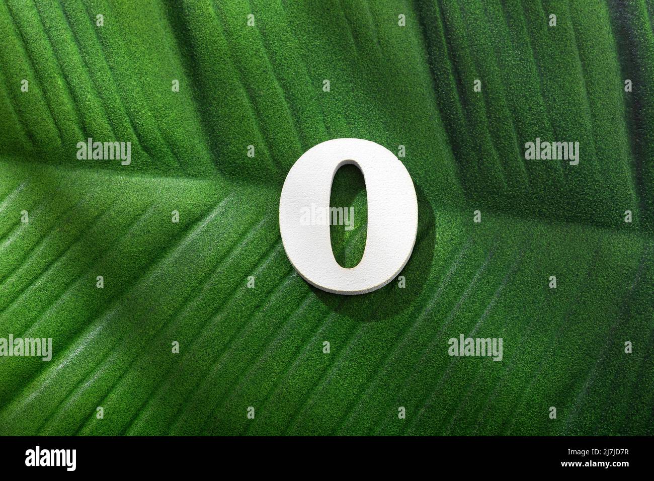 Number 0 - Green leaf of tropical plant Stock Photo