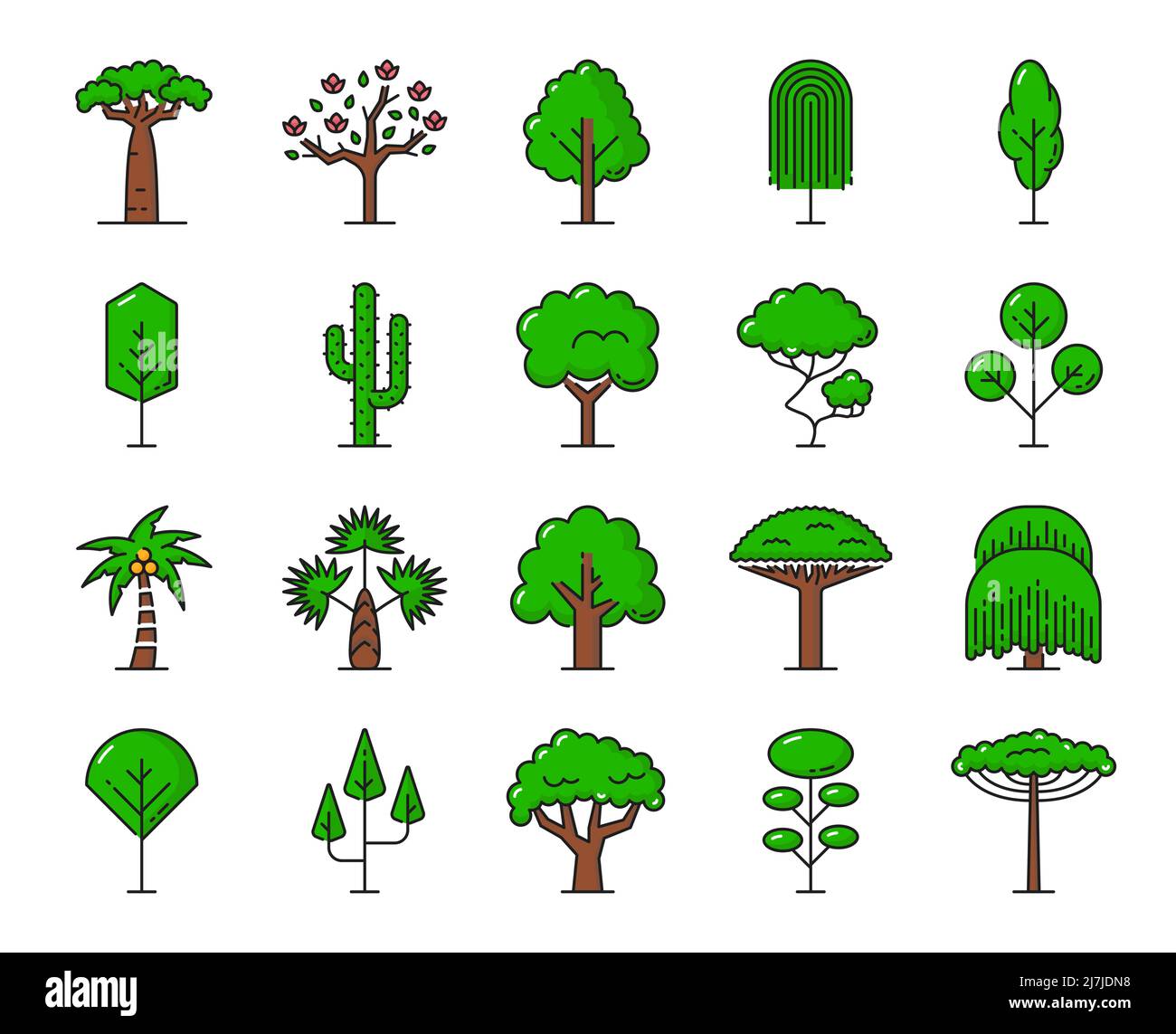 African fern pine Stock Vector Images - Alamy