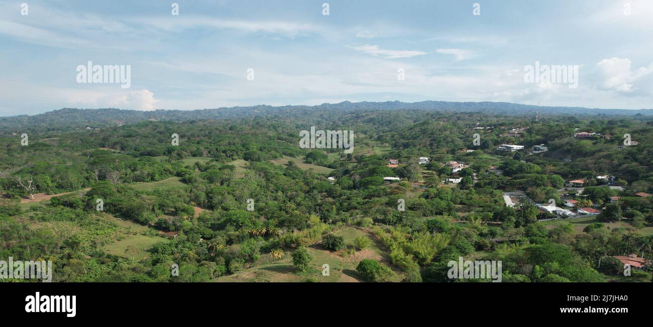 Green landscape with residential district aerial drone view Stock Photo