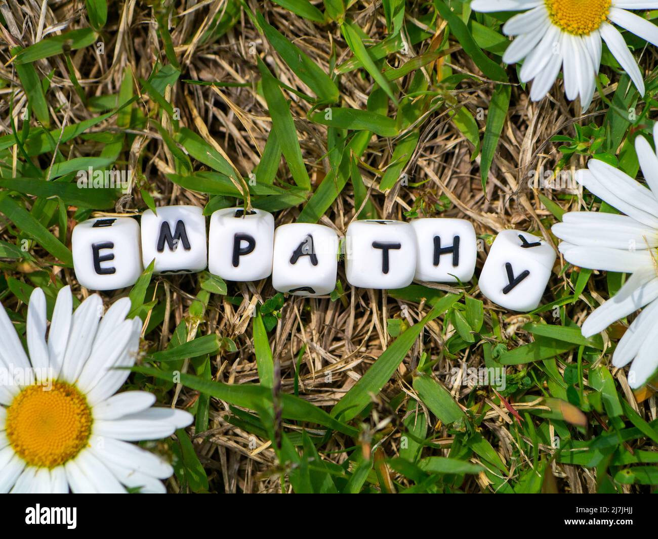 The English word "empathy" presented with beads on grass and daisies