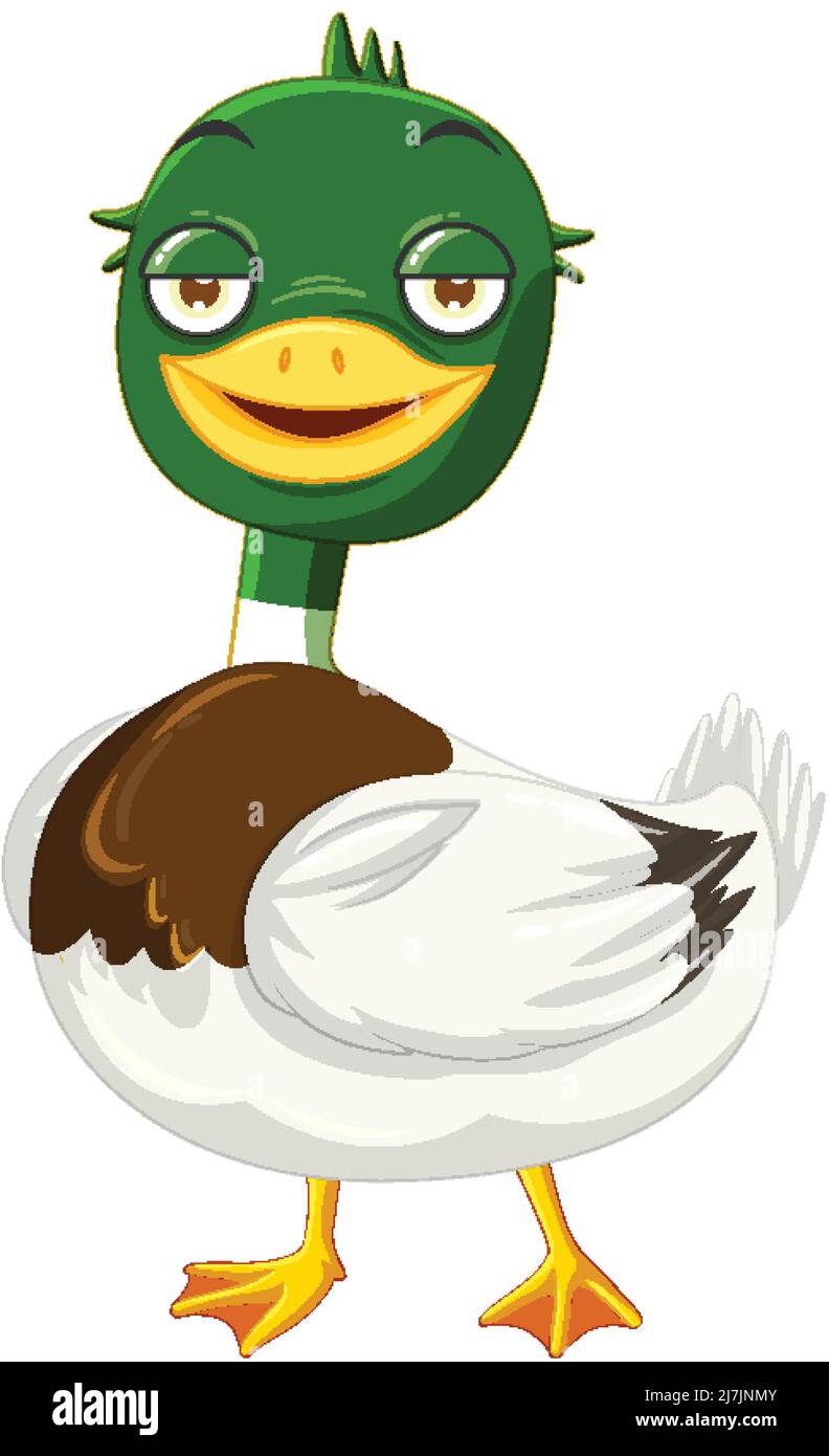 Cute mallard duck cartoon character illustration Stock Vector Image & Art -  Alamy