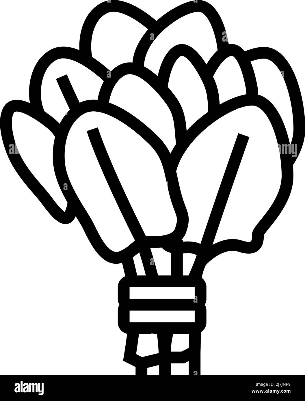 bunch spinach line icon vector illustration Stock Vector Image & Art ...