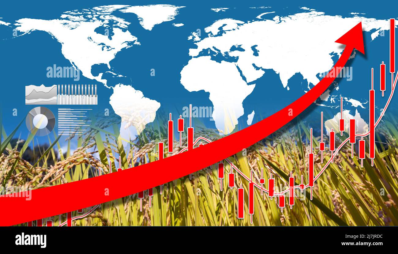 A red rising graph of rice farming and world map background. The concept of rising world grain prices. Stock Photo