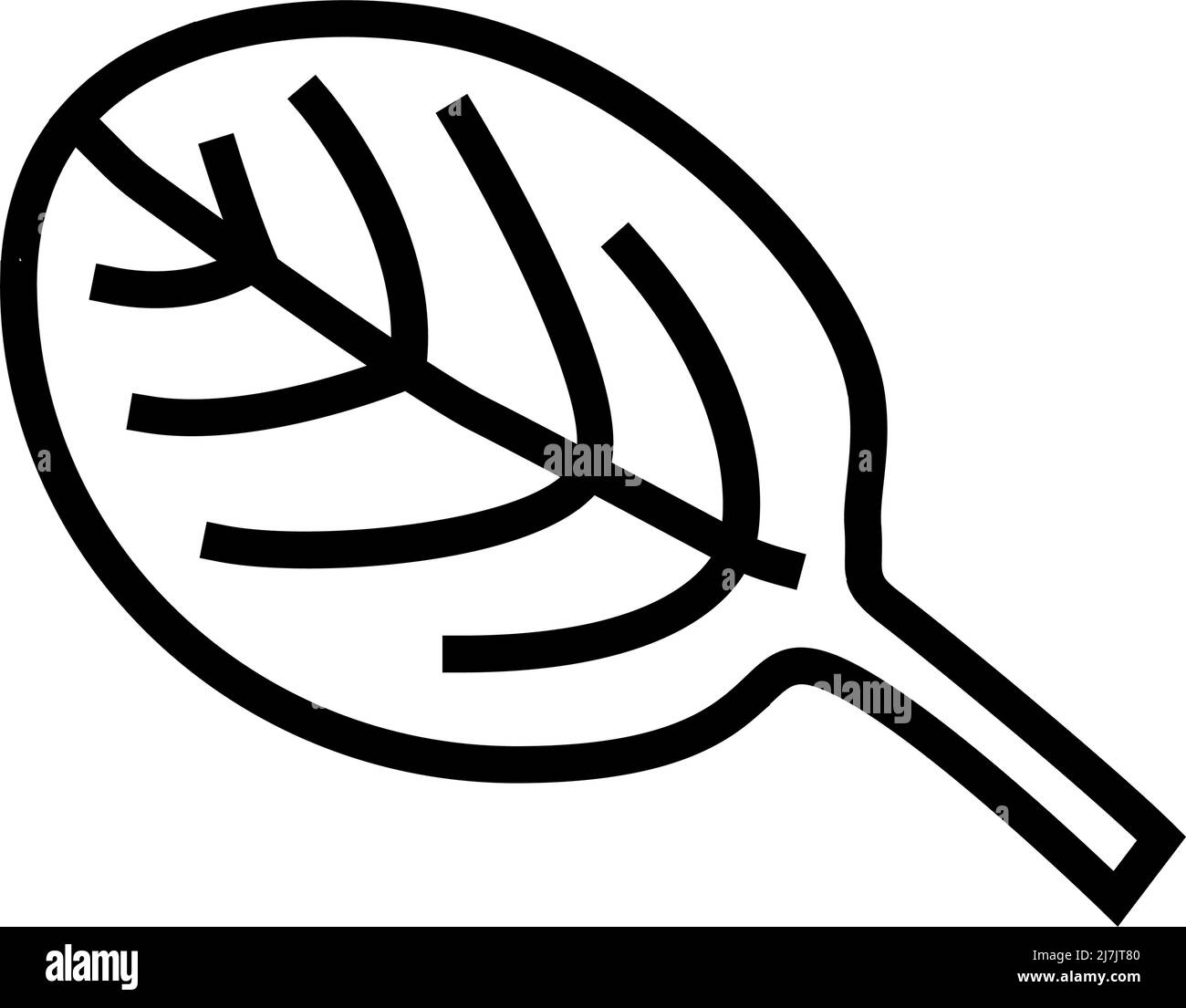 leaf spinach line icon vector illustration Stock Vector Image & Art - Alamy